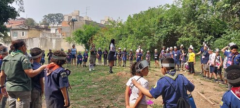 Atividade especial - Lobinhas e Lobinhos na história do Menino Maluquinho